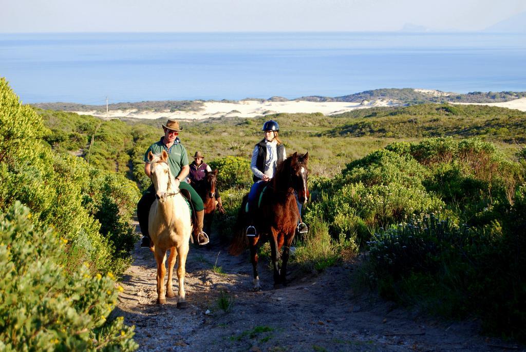 Grootbos Private Nature Reserve Gansbaai Exterior foto