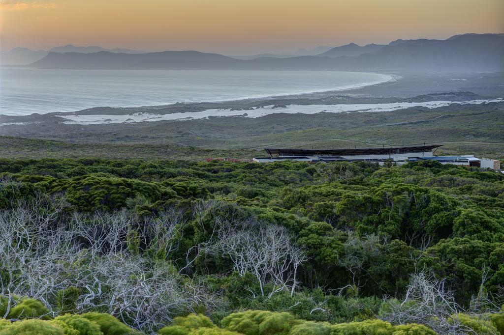 Grootbos Private Nature Reserve Gansbaai Exterior foto