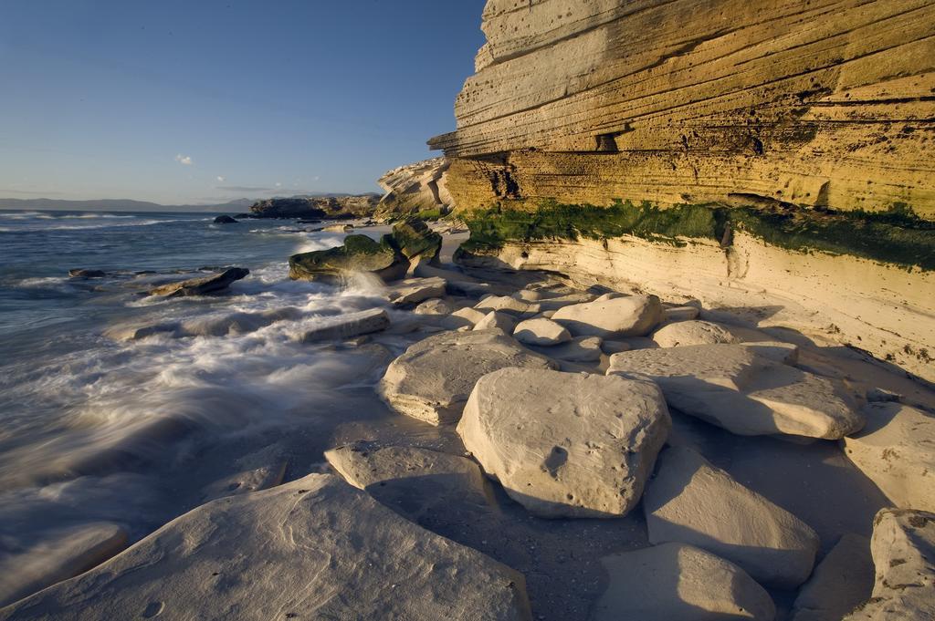 Grootbos Private Nature Reserve Gansbaai Exterior foto